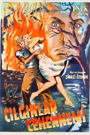 Hell of the Crazy movie poster