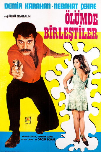 Ana Gibi Yar Olmaz movie poster