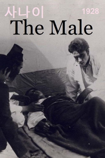 The Male movie poster