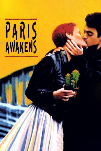 Paris Awakens movie poster