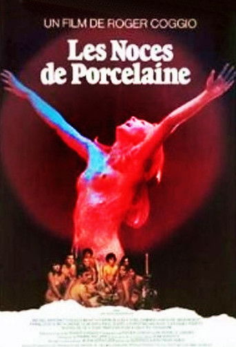 The Porcelain Anniversary movie poster