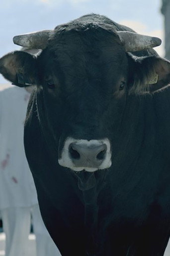 The Bull movie poster