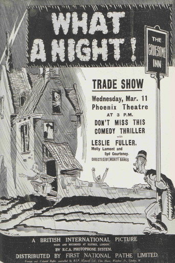 What a Night! movie poster