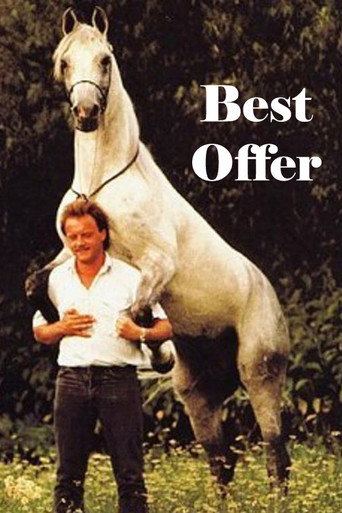 Best Offer movie poster