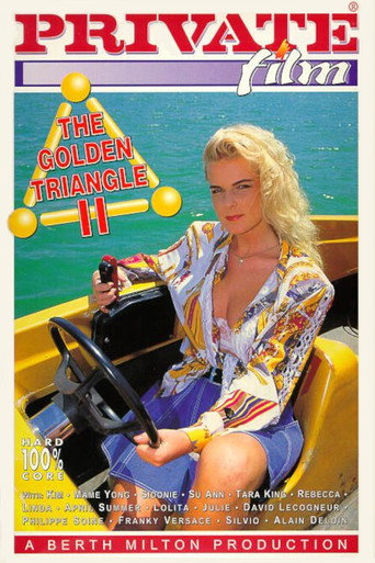 The Golden Triangle 2 movie poster