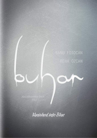 Vanished Into Blue movie poster