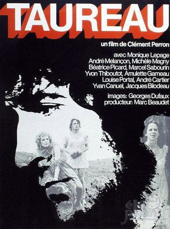 Taureau movie poster