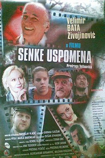 Shadows of Memories movie poster