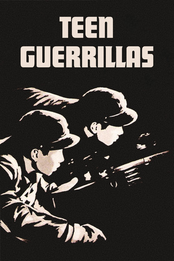 Teen Guerrillas movie poster