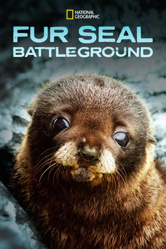 Fur Seals movie poster