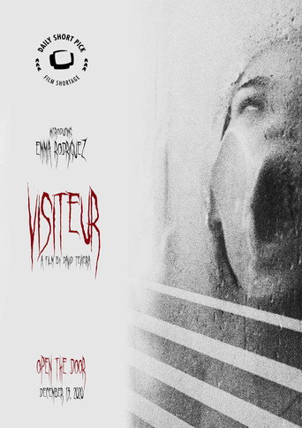 Visitor movie poster