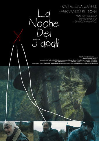 The Night Of The Wild Boar movie poster