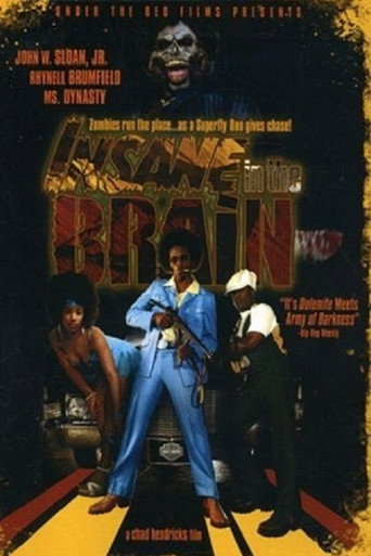 Insane in the Brain movie poster