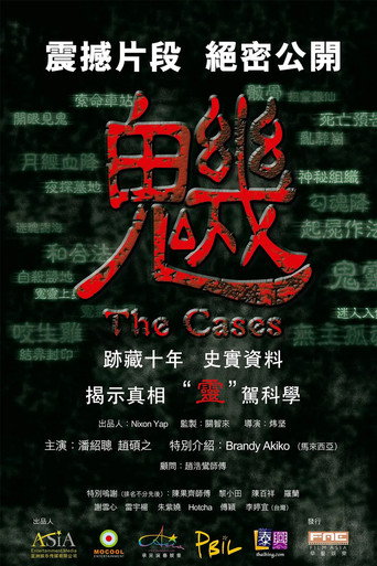 The Cases movie poster