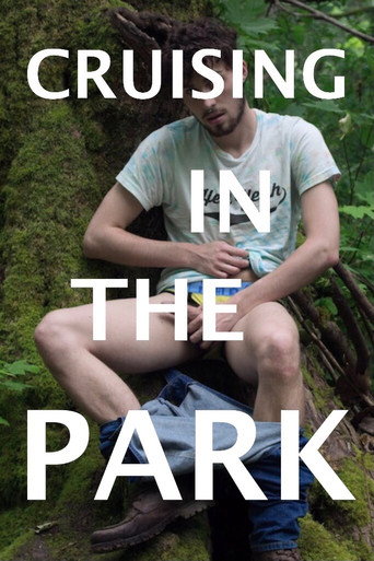 Cruising in the Park movie poster
