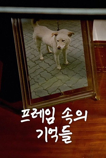 The Memories in My Frame movie poster