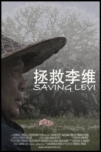 Saving Levi movie poster