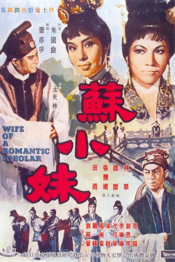 Wife of a Romantic Scholar movie poster