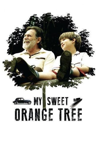 My Sweet Orange Tree movie poster