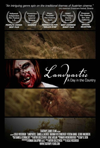 A Day In The Country movie poster