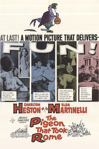 The Pigeon That Took Rome movie poster