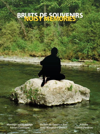 Bruits de souvenirs movie poster