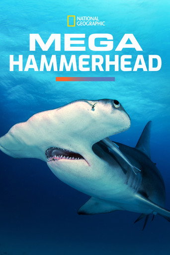 Mega Hammerhead movie poster