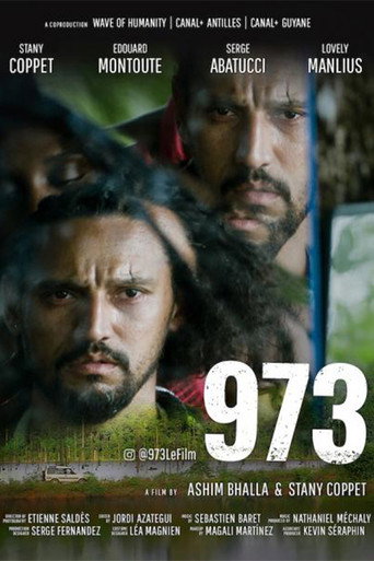 973 movie poster