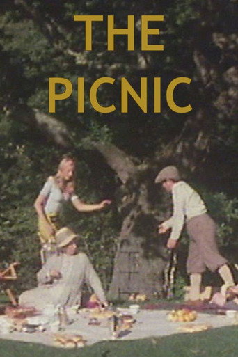 The Picnic movie poster