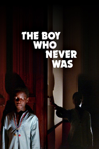 The Boy Who Never Was movie poster