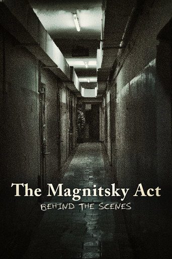 The Magnitsky Act: Behind the Scenes movie poster