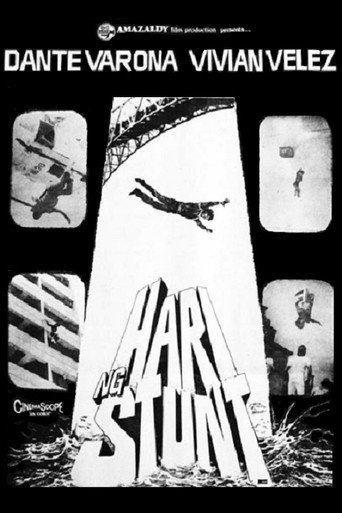 Hari Ng Stunt movie poster