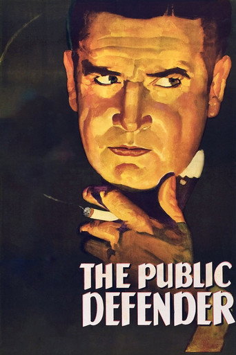 The Public Defender movie poster
