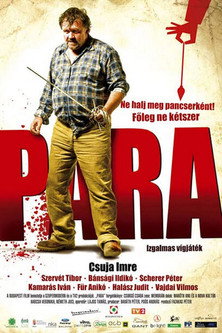 Para movie poster