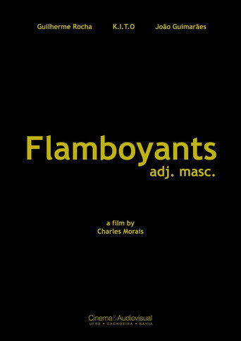Flamboyants movie poster