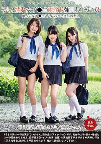 Dripping Wet Girls Are Taking Shelter From The Rain And Receiving Sexual Harassment 3 movie poster