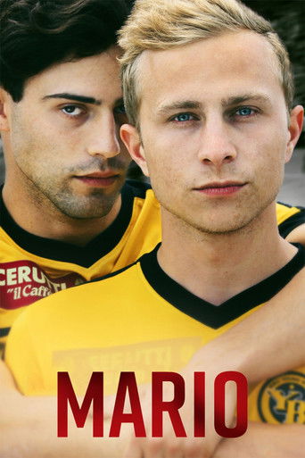 Mario movie poster