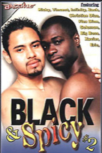 Black & Spicy 2 movie poster