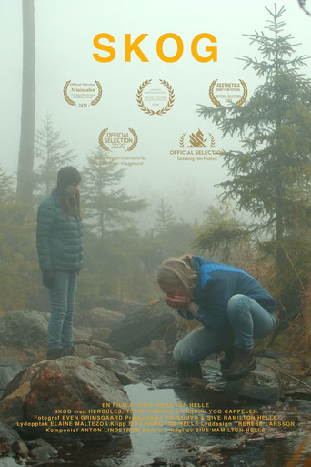 Forest movie poster