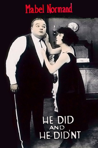 He Did and He Didn’t movie poster