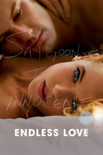 Endless Love movie poster