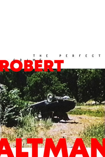The Perfect Crime movie poster
