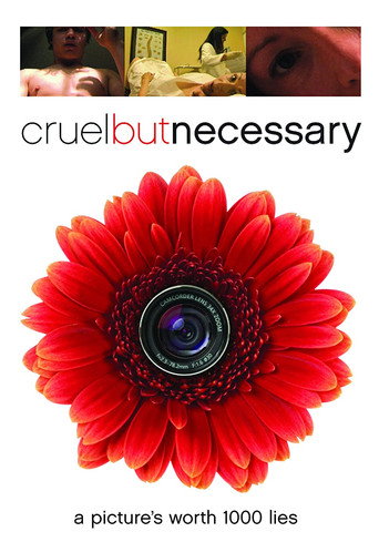 Cruel But Necessary movie poster