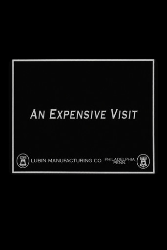 An Expensive Visit movie poster