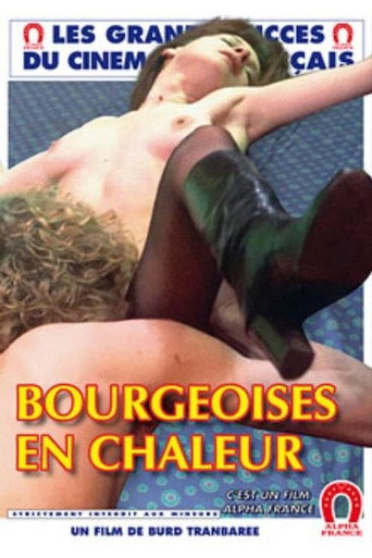 Prouesses porno movie poster