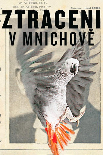 Lost in Munich movie poster