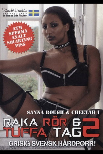 Raka rör & tuffa tag 2 movie poster