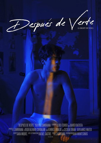 A Sight on You movie poster