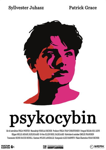 Psykocybin movie poster