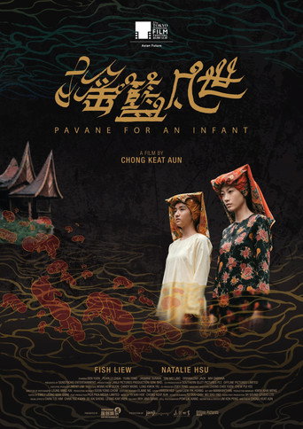 Pavane For An Infant movie poster